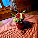 Chalet Augihütte