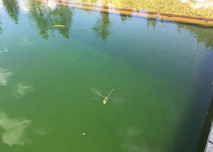 Augihuette 샬레 압티나우